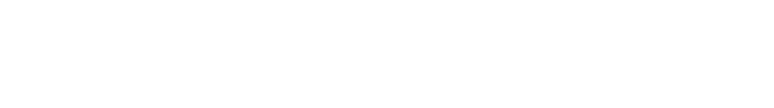 Sky Zone Port St. Lucie logo; brand identification, not a venue photograph